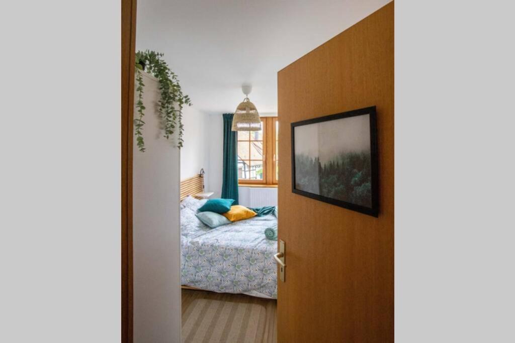 Charming Apartment Basel Border - 3 Bedrooms Hegenheim Exteriör bild